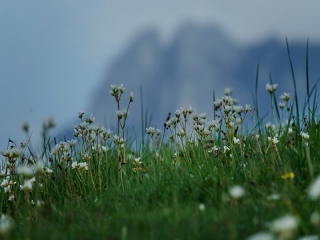 aufildelanature - PAYSAGES  D'ETE