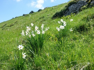 aufildelanature - PAYSAGES  D'ETE