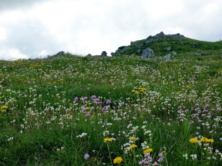 aufildelanature - PAYSAGES  D'ETE