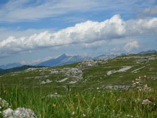 aufildelanature - PAYSAGES  D'ETE