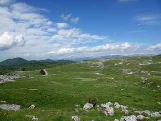 aufildelanature - PAYSAGES  D'ETE