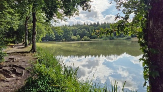 aufildelanature - PAYSAGES  D'ETE