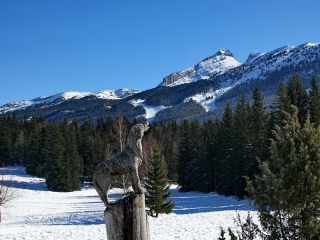 aufildelanature - PAYSAGES  D'HIVER