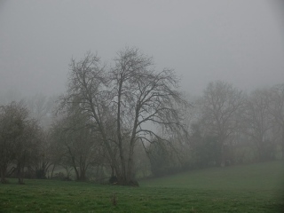 aufildelanature - PAYSAGES  D'HIVER