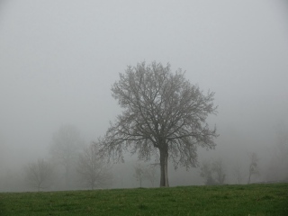 aufildelanature - PAYSAGES  D'HIVER