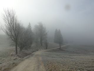 aufildelanature - PAYSAGES  D'HIVER