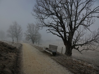 aufildelanature - PAYSAGES  D'HIVER