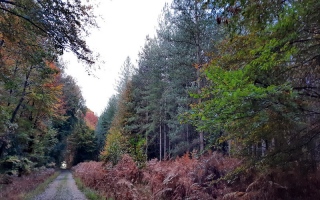 aufildelanature - AUTOMNE