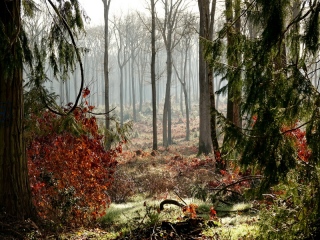 aufildelanature - AUTOMNE