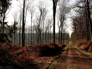 aufildelanature - AUTOMNE