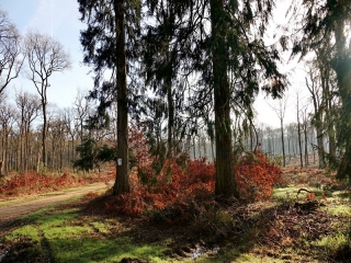 aufildelanature - AUTOMNE