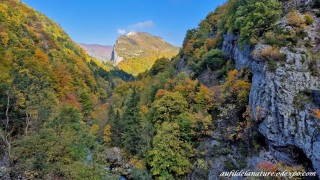 aufildelanature - AUTOMNE