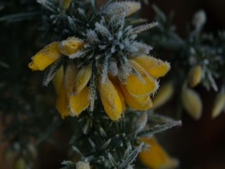 aufildelanature - GIVRE