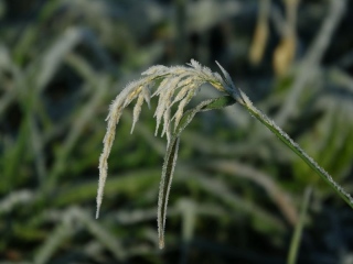 aufildelanature - GIVRE