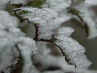 aufildelanature - GIVRE