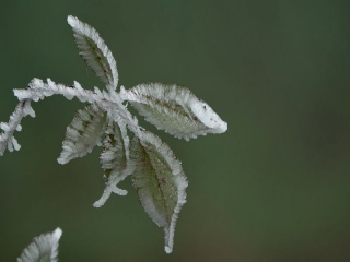 aufildelanature - GIVRE