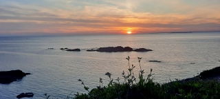 aufildelanature - MER