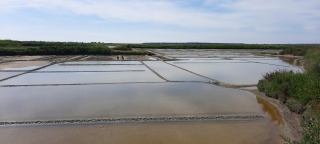 Marais salants Guérande - MER