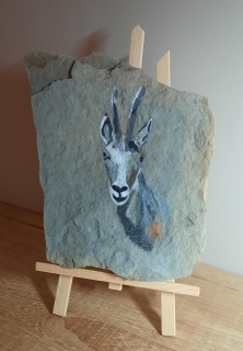 Chamois - Mes peintures
