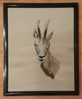 Chamois - Mes peintures