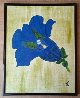 Gentiane - Mes peintures